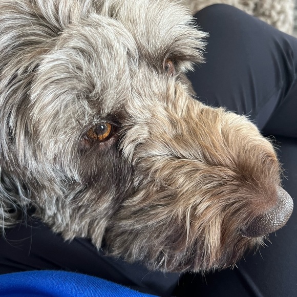 Kelly is Live! Sweet Thrift Finds! LIVE NOW!! Sweet Clara Boutique!💜 - Picture 4 of 6